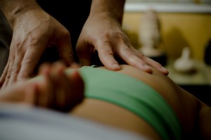 Oxide krak Såkaldte Anma, Traditional Japanese Massage Course
